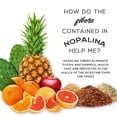 thumbnail image 3 of Nopalina Flax Seed Fiber Dietary Supplement with Omega 3, 6, 9, 120 Count, 3 of 6