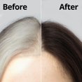 thumbnail image 2 of Tinte para el cabello en crema Daeng Gi Meo Ri Castaño oscuro 150 ml, 2 of 4