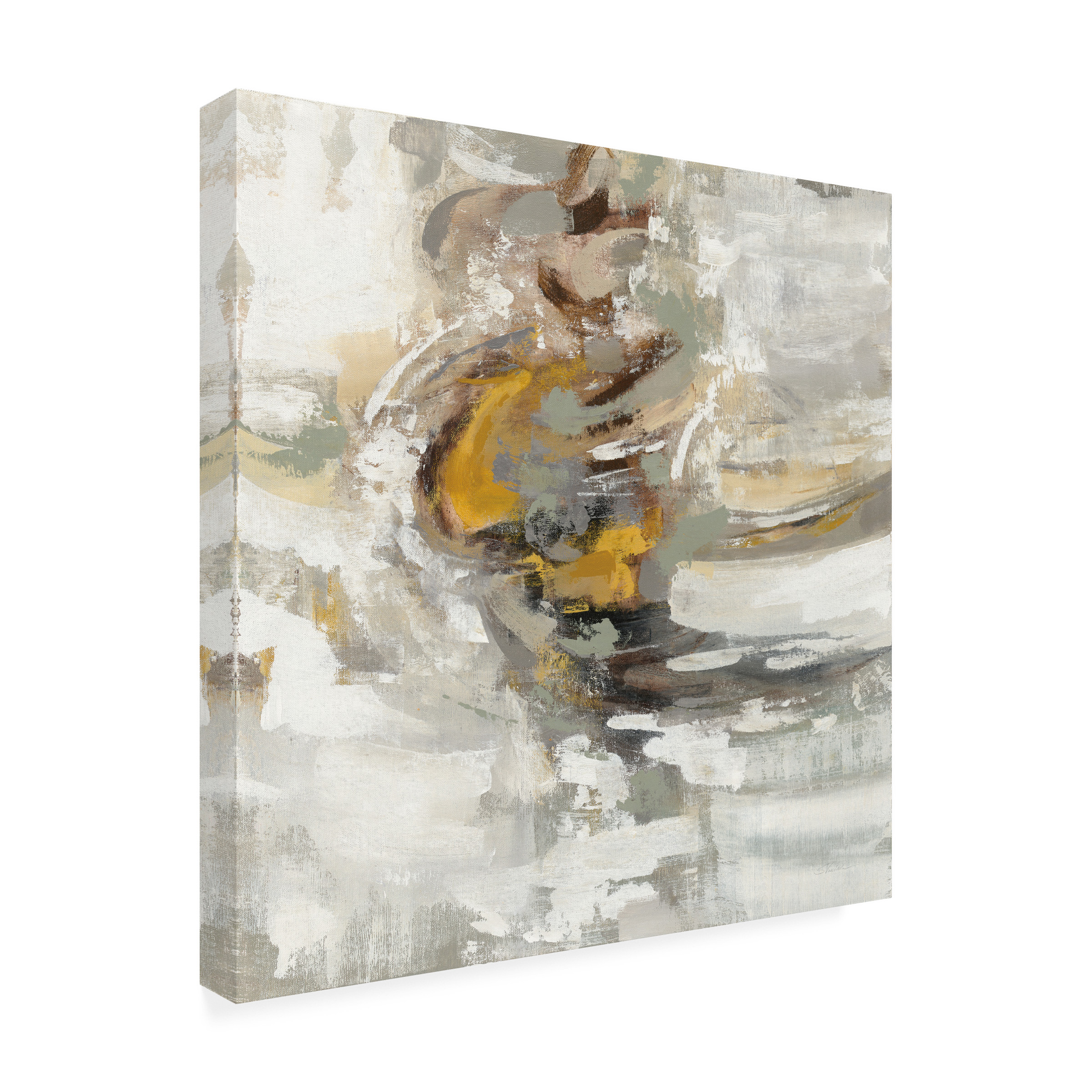 Trademark Fine Art 'Amber Ring' Canvas Art by Silvia Vassileva