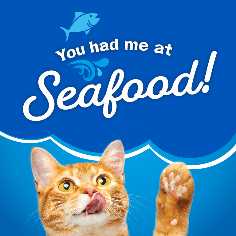 Purina Friskies Seafood Sensation Dry Cat Food 16.2 oz Small Bag Quality Product Made in USA Walmart