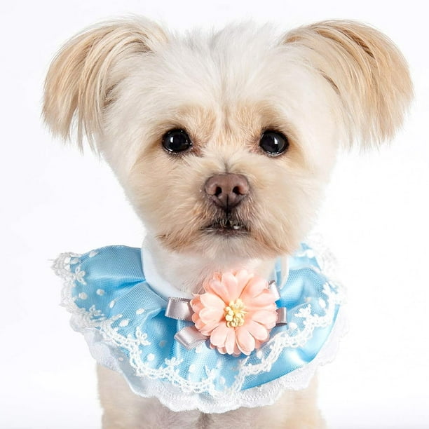 Collar para perro y gato, con perlas, con babero, bufandas bonitas, correa para el cuello, ideal para disfraces de mascotas (azul)