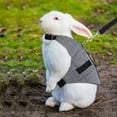 thumbnail image 6 of Rabbit Vest Harness and Leash Set Adjustable Formal Suit Style Adjustable Soft Bunny Harness for Bunny Rabbit Kitten Small Animal Walking, 6 of 7