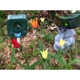thumbnail image 3 of Bird-X Inc Solar-Powered Ultrasonic Electronic Pest Repellent Stake, 3 of 6