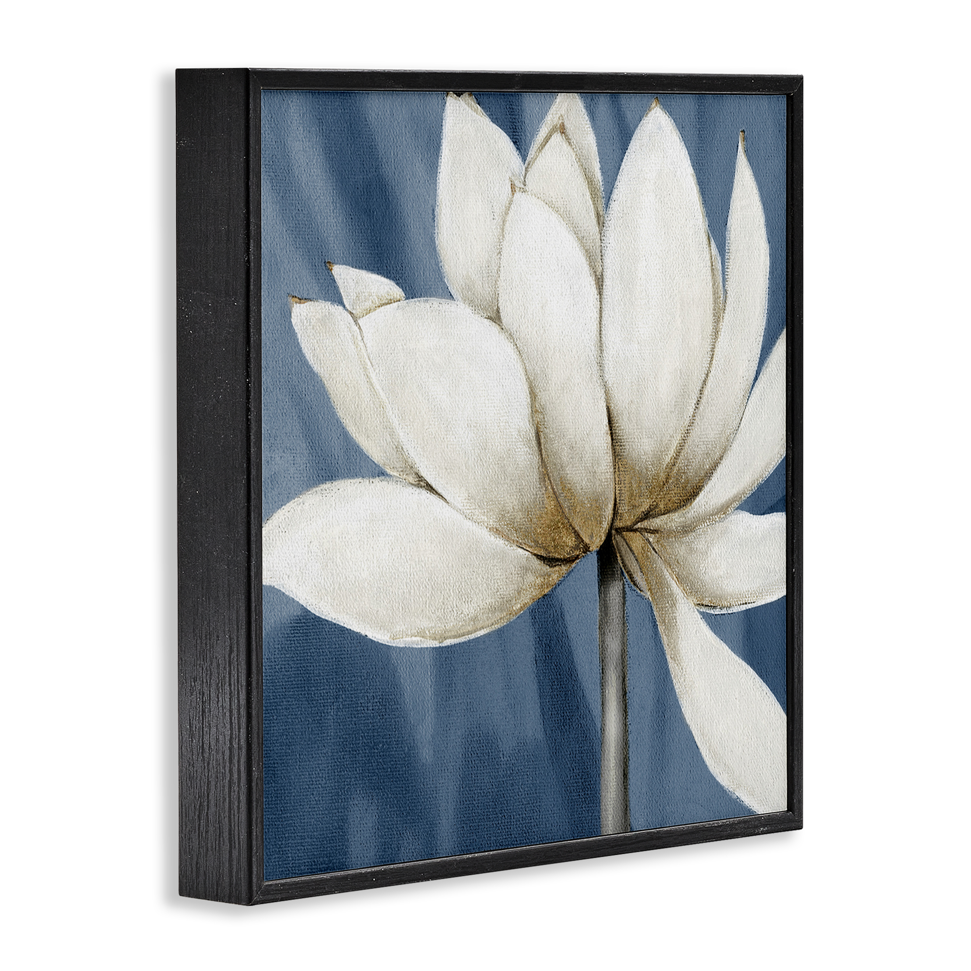 Stupell Industries White Lotus Petals Botanical & Floral Painting Black Framed Art Print Wall Art, 12 x 12