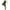 Army Green, variant on AGWOLF Jean Leggings for Women Stretch Slim Denim Jeggings High Elastic Waisted Yoga Pants Tummy Control Skinny Workout Pants with Pockets