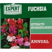 Expert Gardener, Outdoor, Live Plants, Multicolor, Fuchsia, 1.5G, Each