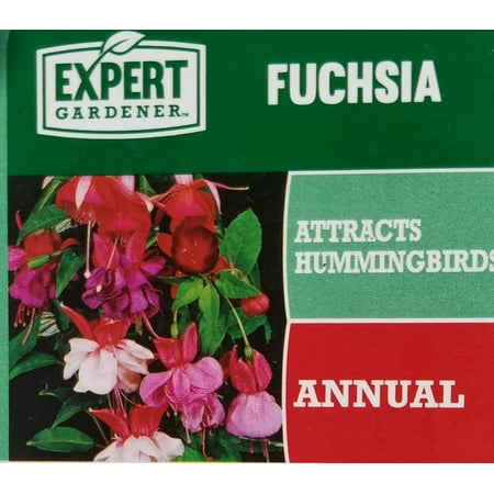 Expert Gardener, Outdoor, Live Plants, Multicolor, Fuchsia, 1.5G, Each
