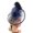 Navy Blue, variant on FENOHREFE Lovely Butterfly Headbands Funny Girl Headgear Makeup Women Soft Hair Hoop for Women Girls Wedding Party