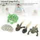 thumbnail image 4 of Juego De Modelos De Ciclo De Vida De Renacuajo, Juego Educativo Simulado, Ciclo De Crecimiento De Renacuajo Detallado, 5 Piezas De PVC De Color Brillante Realista Para Decoración, 4 of 7