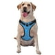 thumbnail image 1 of Balery Cute Shark Arnés para Perros Grandes Antitirones, Arnés con Correa para Gato, Arnés Tipo Chaleco para Perros Pequeños-Large, 1 of 6