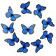 thumbnail image 1 of 10 Pcs/set Butterfly Refrigerator Magnets 3d Realistic Butterfly Strong Magnet Anti-slip Firdge, 1 of 5