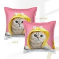 thumbnail image 3 of Bingfone Decorative Pillow Covers 18"X18" A Funny Cat Couch Pillow Cases Modern Farmhouse Covers For Couch Sofa Bed, 3 of 9