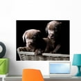 thumbnail image 1 of Two Chocolate Labrador Puppies Wall Mural by Wallmonkeys Peel and Stick Graphic (24 in W x 18 in H) WM306214, 1 of 4