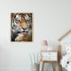 thumbnail image 3 of Cuadros Decorativos Kits de pintura de diamante DIY de tigre arte de decoración de pared de taladro redondo completo (VY051) Wdftyju embutido en tela, 3 of 9
