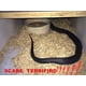 thumbnail image 3 of Serpiente de goma COTOSEY 53' juguete realista, 3 of 3
