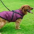 thumbnail image 3 of POINTERTECK Wuffmeow Cozy Pet Dog Cold Weather Coats Waterproof Windproof Winter Dog Jacket with Durable D-ring and Reflective Vest for Small Medium Large Dogs, 3 of 6