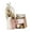 Pink, variant on Space Saving Desktop Organizers Rotating Feature Clear For Efficient Use