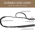 thumbnail image 4 of Collier Réglable en Nylon pour Chien Boucle en Métal Robuste avec Poignée pour Dressage de Chien, 4 of 6