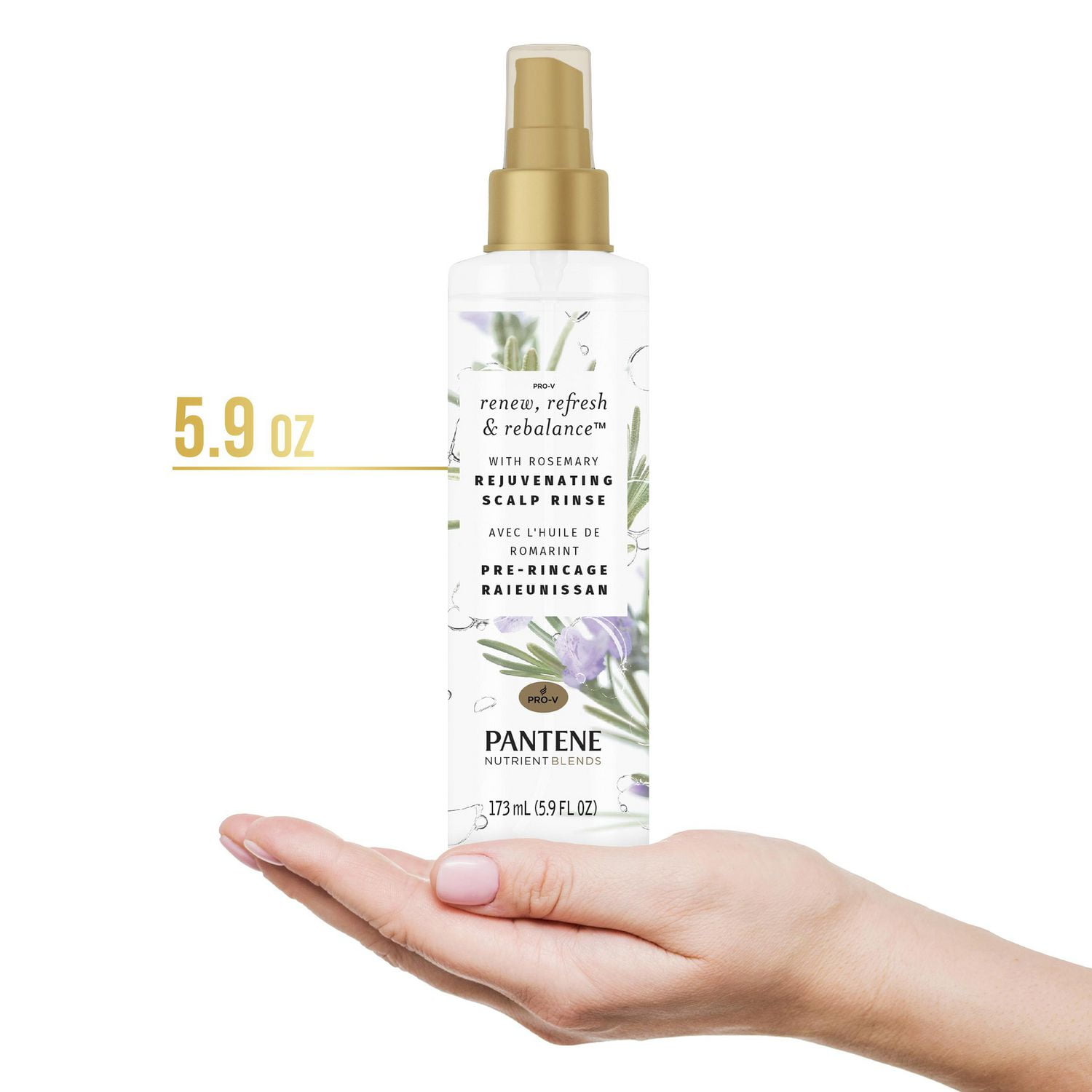 PANTENE Rosemary NUTRIENT BLENDS Rejuvenating Scalp Rinse, 5.8 fl oz/173 mL
