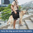 thumbnail image 3 of Arnés de Transporte para Perros Coodeo M Negro para Perros Mayores con Soporte, 3 of 6