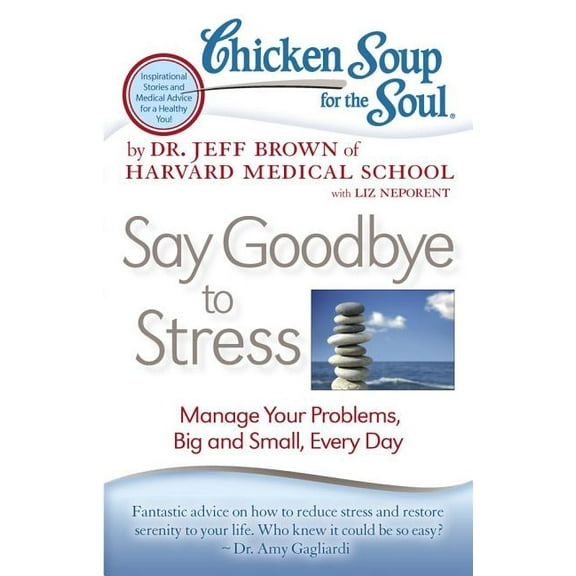 Chicken Soup for the Soul Chicken Soup for the Soul: Say Goodbye to Stress: Manage Your Problems, Big and Small, Every Day, (Paperback)