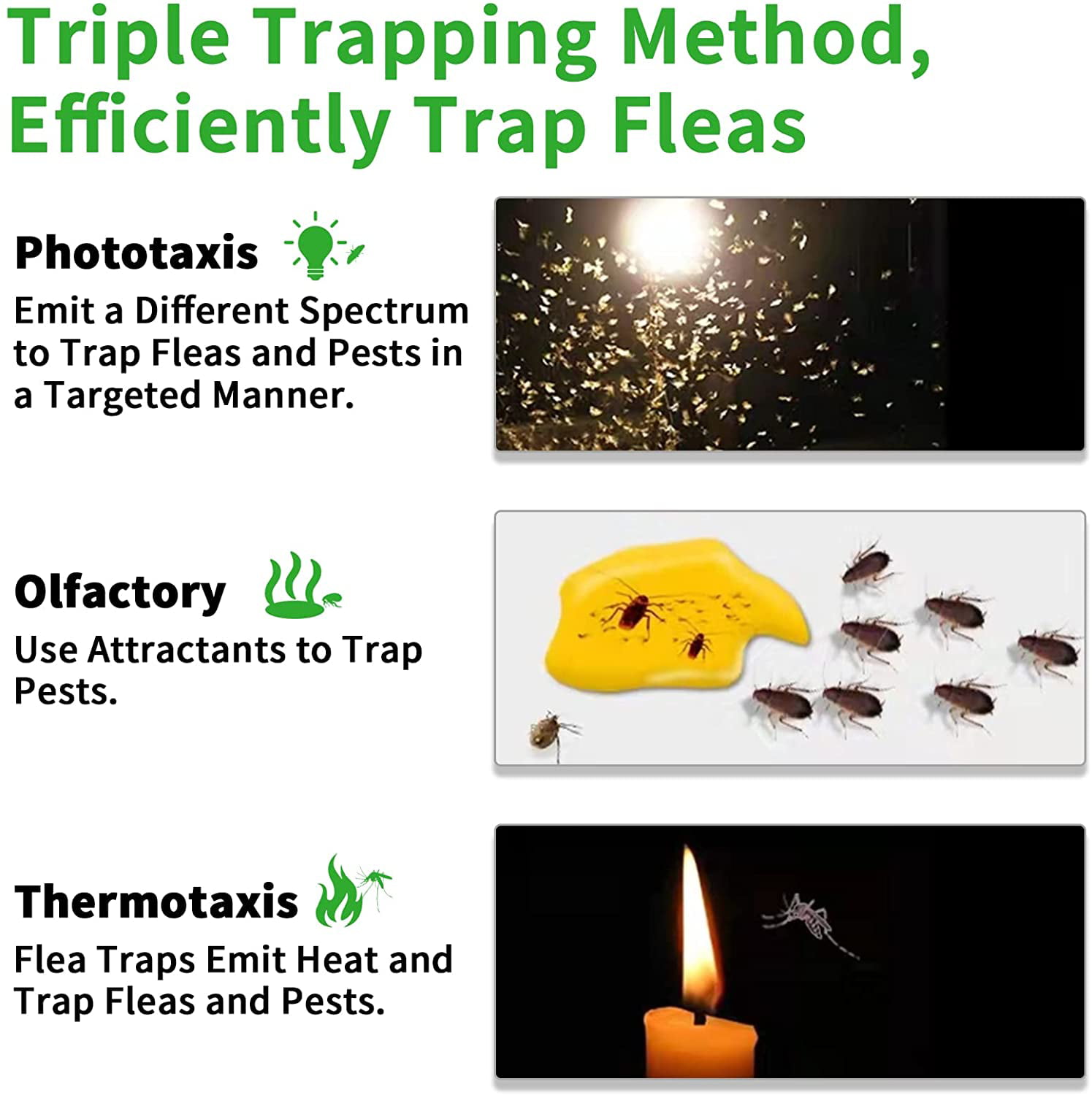  BugMD Termination Station Pest Trapper - Flea Trap with Light  and Refills, Sticky Trap for Ants, Cockroaches, Tick and Flea, Bug Catcher,  Roach Trap : Patio, Lawn & Garden