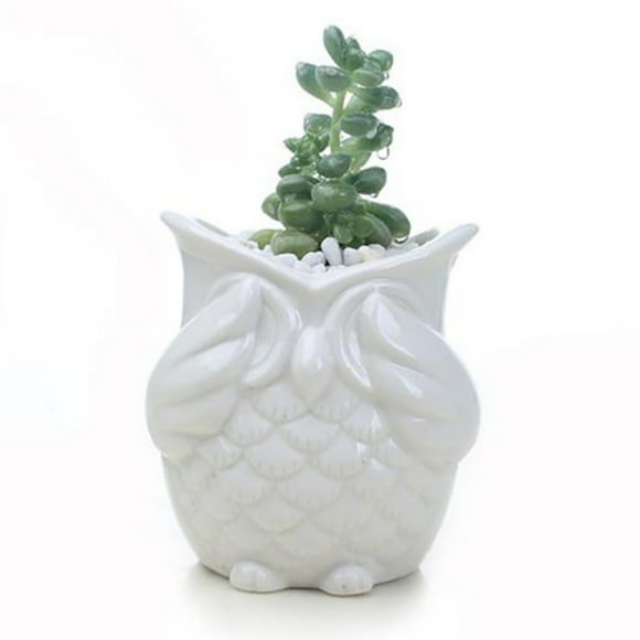 ZenBath Owl Planter Ceramic Succulent Herb Planter Succulent Plant Pot Adorable Animal Novelty Planter Pot Glazed Ceramic Cute Animal Cactus Flower Container