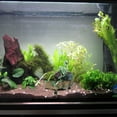 thumbnail image 2 of Drunk Skeleton Fish Tank Ornament Aquarium Air-operated Landscape Decoration New, 2 of 8