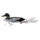 thumbnail image 1 of Señuelo de pesca de simulación, cebo de calamar práctico de agua salada resistente de varias secciones para principiantes y profesionales, dispositivo D, 1 of 8
