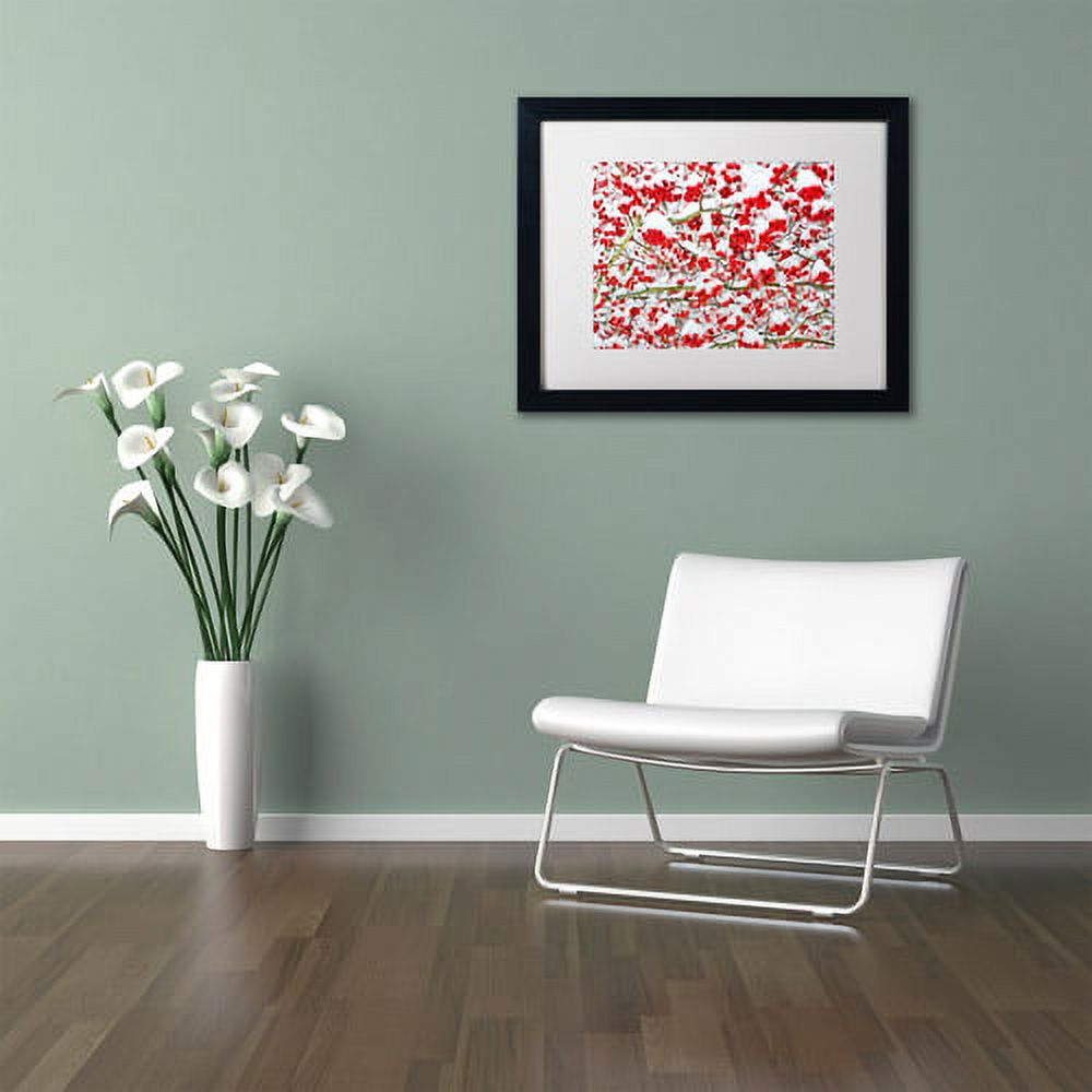 Trademark Fine Art "Winter Berries in the Snow" Canvas Art by Kurt Shaffer White Matte, Black Frame
