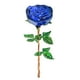 thumbnail image 2 of 25cm Decoración de Rosas de Cristal Decorativo Coleccionable en Caja Rosas Falsas Estatuilla de Flores de Cumpleaños Centro de Reg Azul Macarena Rosa de cristal, 2 of 6