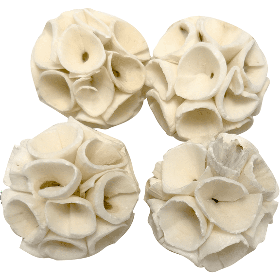 5133 Pk4 Mini Sola Crepe Chewers - Handmade Natural Sola Wood Bird Foot Toys