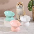 thumbnail image 4 of Kunmingshisd Cuenco elevado de cerámica para gatos - Cuenco elevado para gatos inclinado contra los vómitos - Cuenco para gatos grandes - Cuencos de porcelana para gatos - Cuenco para comida para gato, 4 of 5