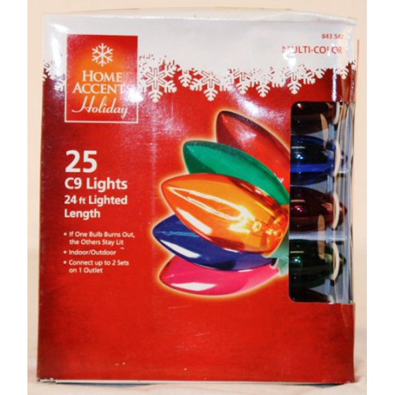 Home Accents Holiday Christmas String Lights