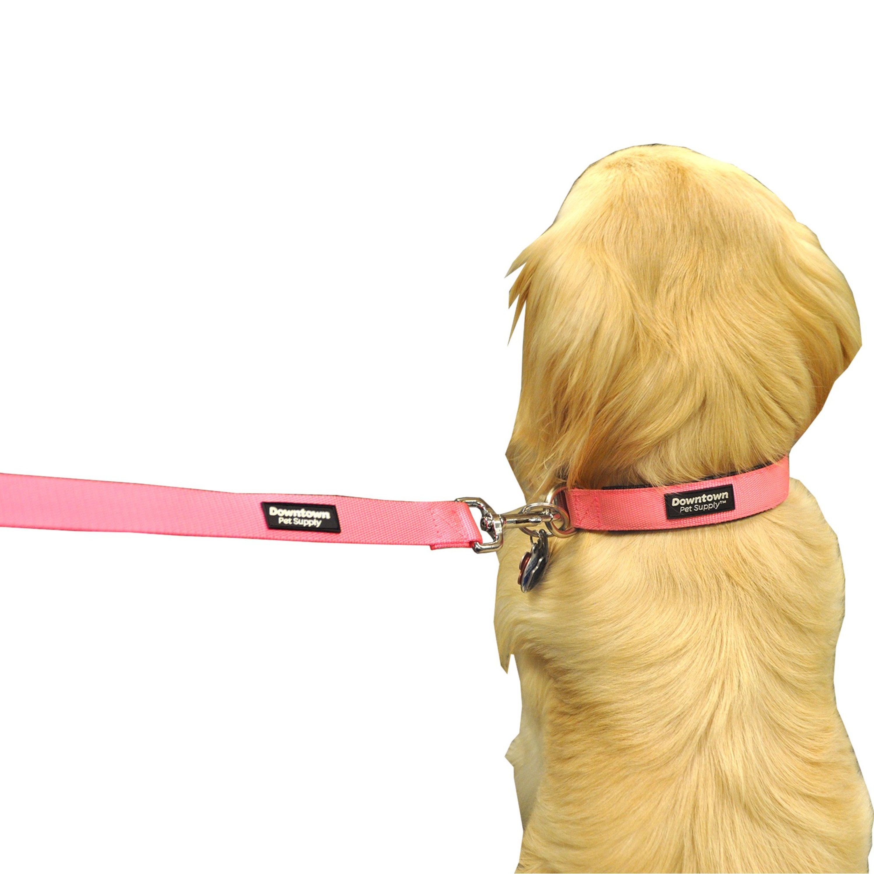 Downtown Pet Supply Padded Dog Collar, Purple, Large photo 4