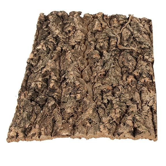 Hemoton Natural Reptile Tree Bark Decor for Lizard Climbing and Turtle Basking Platform Terrarium Background Bark Reptile Terrarium Bark