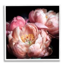 Stupell Industries Blooming Peony Photography Botanical & Floral Photography White Framed Art Print Wall Art, 17 x 17