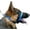 Blue, variant on Canny Collar Easy Pull Dog Collar for Walking and Training - Blue, Size 3