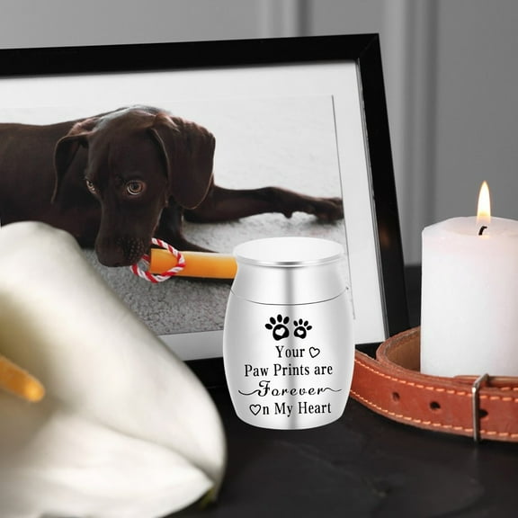 RBCKVXZ Mini Pet Memorial Urns for Dogs and Cats Ashes, Stainless Steel, Pet Paw Print Keepsake Urn for Ashes (White, 1.5 Inch)