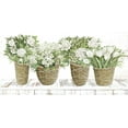 thumbnail image 2 of Jacobs, Cindy 18x11 White Modern Wood Framed Museum Art Print Titled - Floral Baskets, 2 of 4