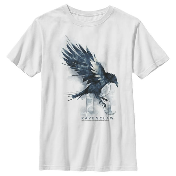 Boy's Harry Potter Ravenclaw Bird Watercolor Graphic Tee White Small