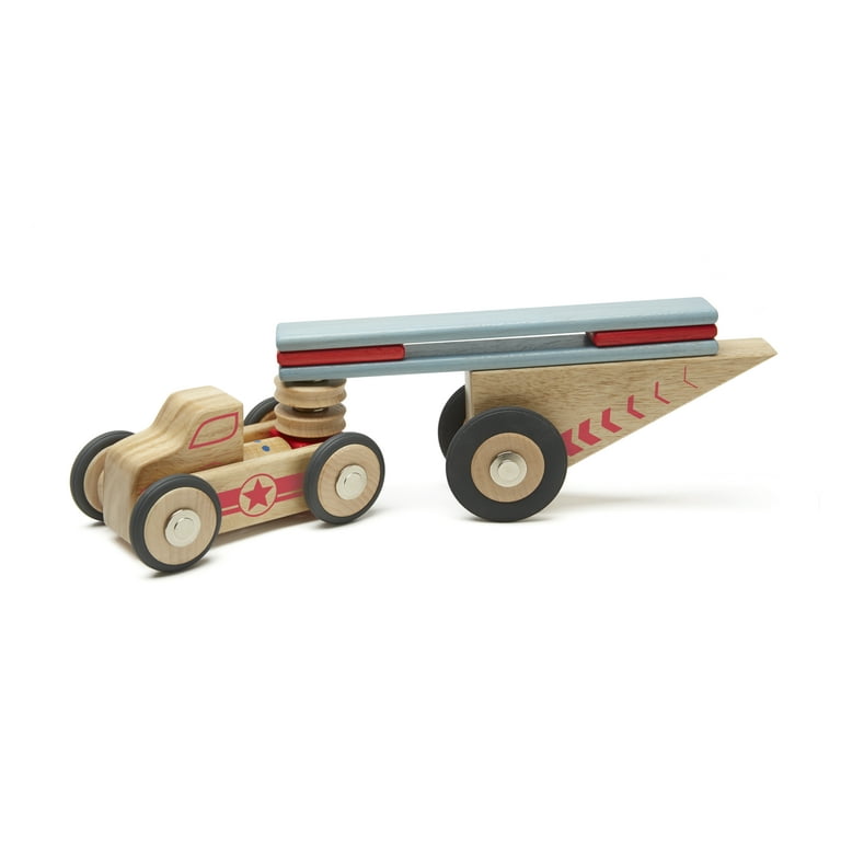 Tegu race car sales