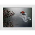 thumbnail image 1 of Van Deelen, Ellen 24x18 White Modern Wood Framed Museum Art Print Titled - Ladybird on hydrangea., 1 of 4