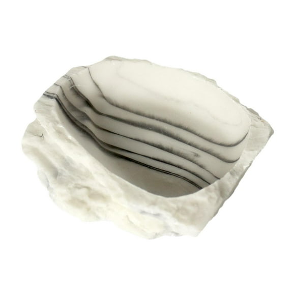 Plato de agua para reptiles, comedero para reptiles, accesorio para tanque, plato para terrario, tazón de comida, piscina para tortugas, camaleones