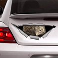thumbnail image 1 of GHSDFBB Kiwi car Sticker, Kiwi Bird Decal, Bird Sticker Vinyl Sticker for Cars, Windows, Walls, Fridge, Toilet and More-15 Inch, 1 of 1
