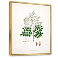 thumbnail image 3 of Ancient Botanicals XII 30 in x 40 in Framed Painting Canvas Art Print, by Designart, 3 of 5