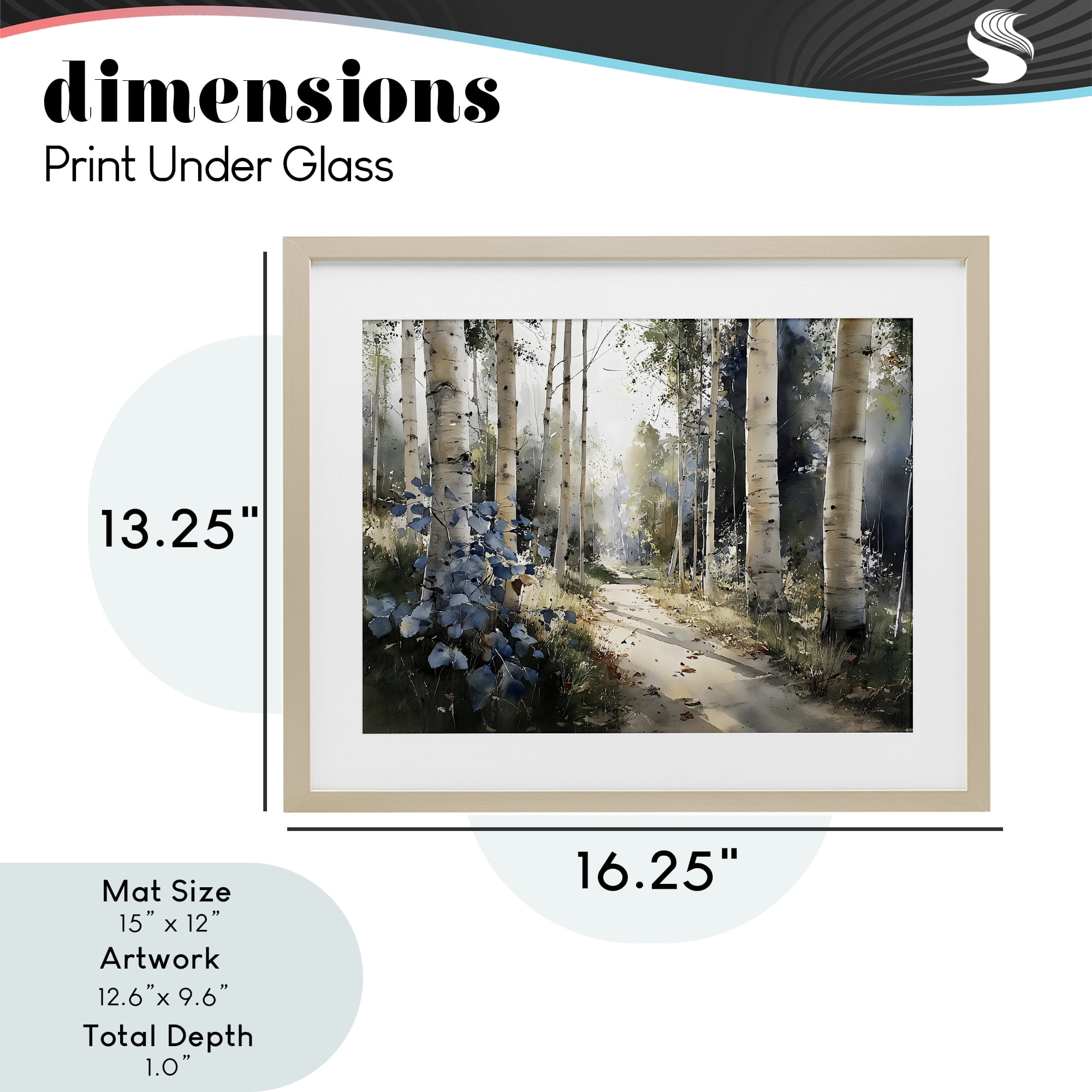 Stupell Industries Blue Birch Sunlit Forest Birch Framed Print Under Glass, design by Franklyn Gregory