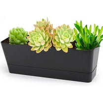 1 Pc Black Rectangle Window Boxes Yahome Herb Planters with Tray Indoor Succulent Cactus Mint Plastic Pot Flower Planter Box for Garden Balcony Office Indoor Outdoor Decoration(12 x 3.8in)