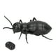 thumbnail image 5 of Juguetes para insectos, juguete para hormigas, control remoto por infrarrojos, insectos falsos, hormigas diseñadas para precisión, 5 of 14