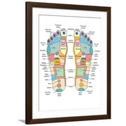 Art.com Reflexology Foot Map, Artwork Photographic Print by Peter Gardiner, Brown Frame Wall Art, 32" x 40"